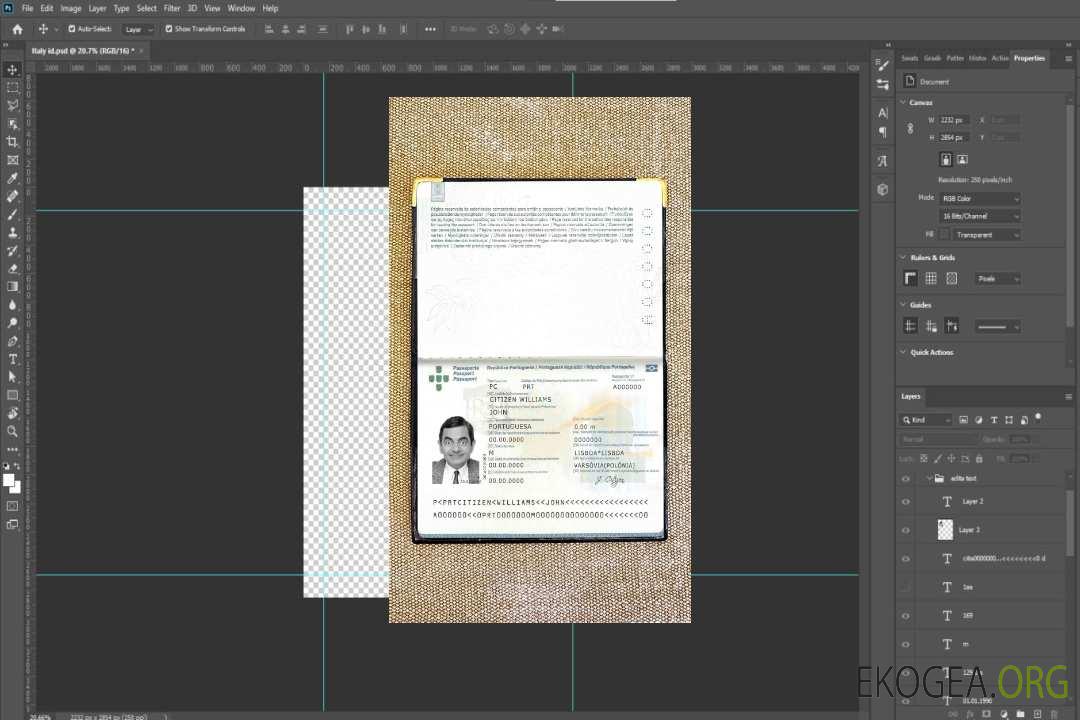 Aperçu photo du passeport portugais (2006-2017) template